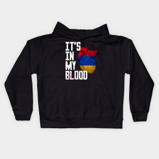 Armenia it's in my Blood Kids Hoodie